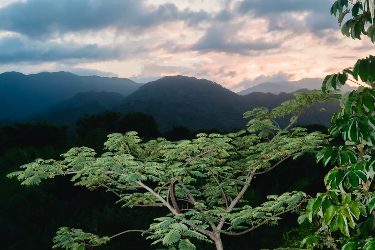 Costa Nostra photograph — file eric-cortes-30.jpg