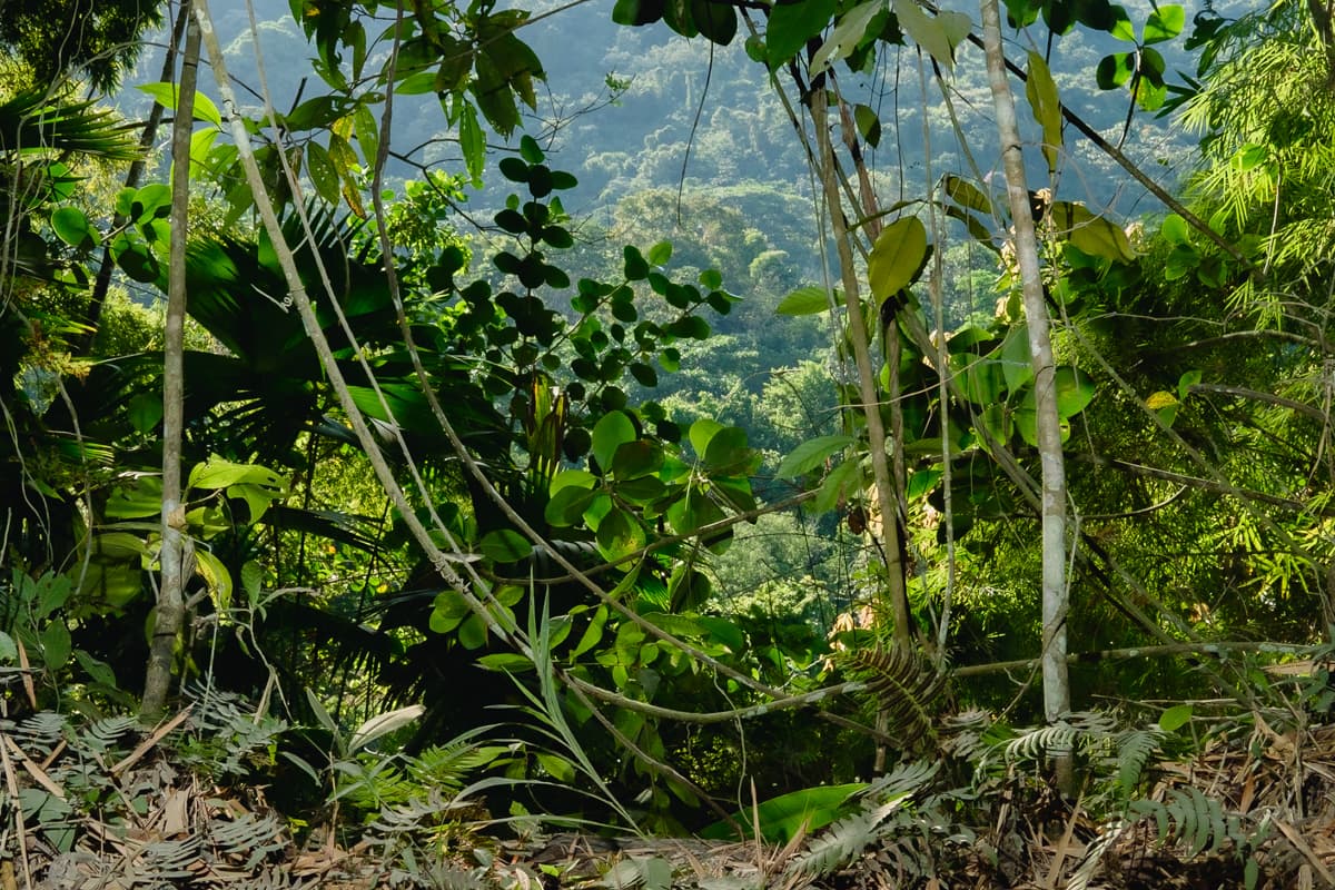 Costa Nostra photograph — file eric-cortes-9.jpg