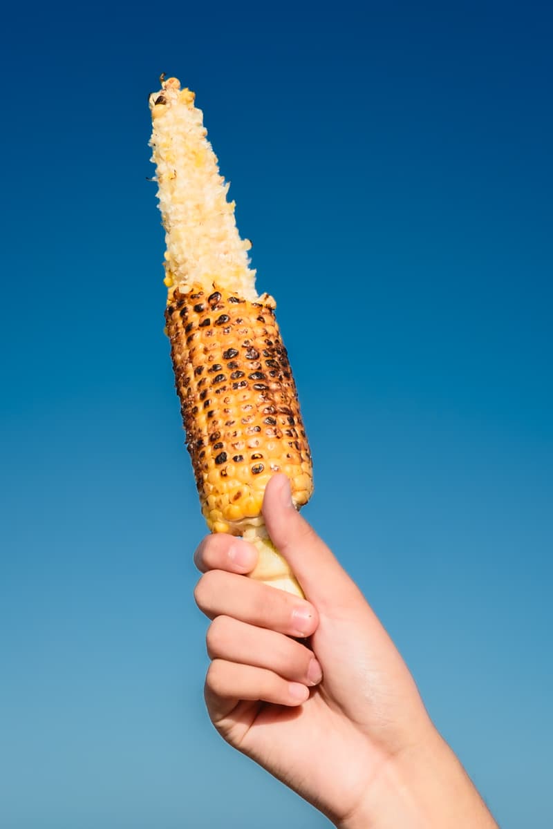 Hand holding a partly eaten corn cob against a blue sky