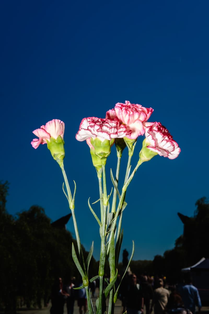 Fotografie aus Why Again — Datei eric-cortes-13.jpg